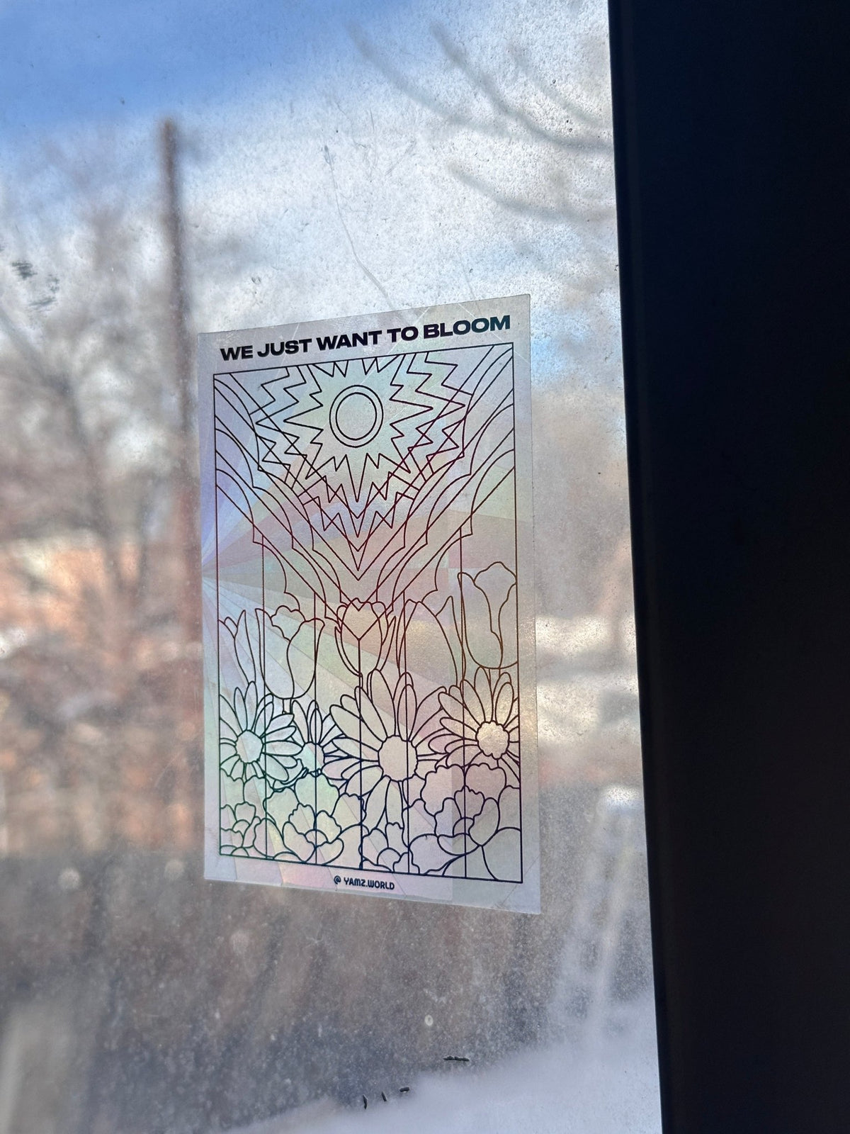 Flower Pride Flag Suncatcher - Starry Skies Austin