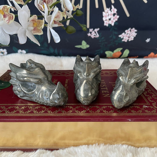 Pyrite Dragon Head - Starry Skies Austin