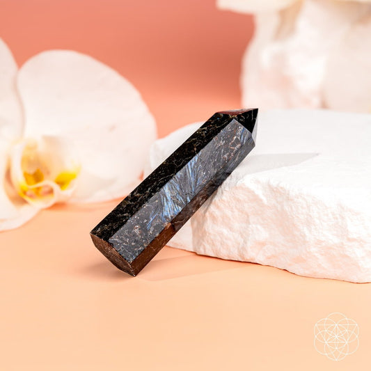 This Is Your Breakthrough – Rare Arfvedsonite Point - Starry Skies Austin