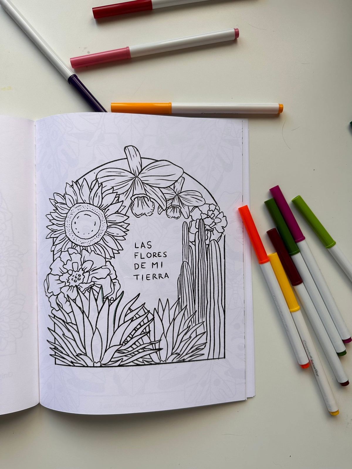 Tierra Sagrada | 48 - Page Coloring Book - Starry Skies Austin