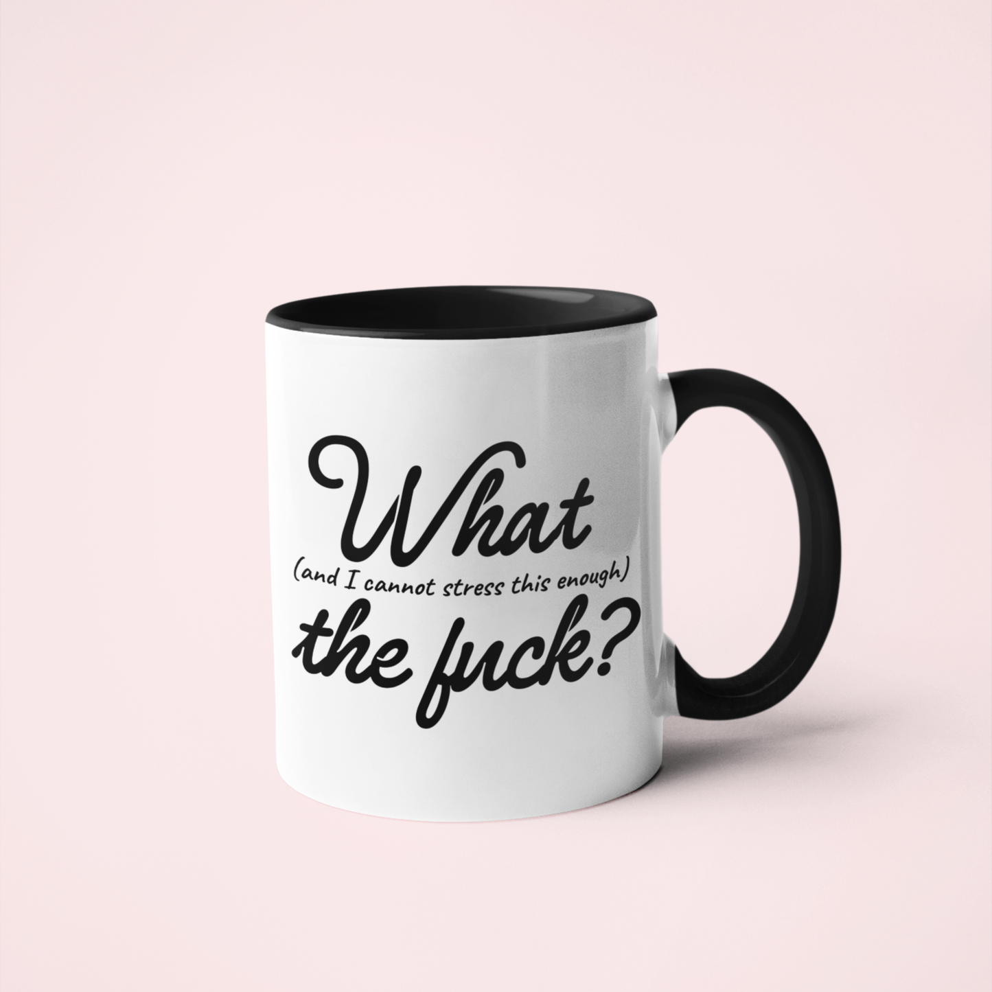 What the F Mug