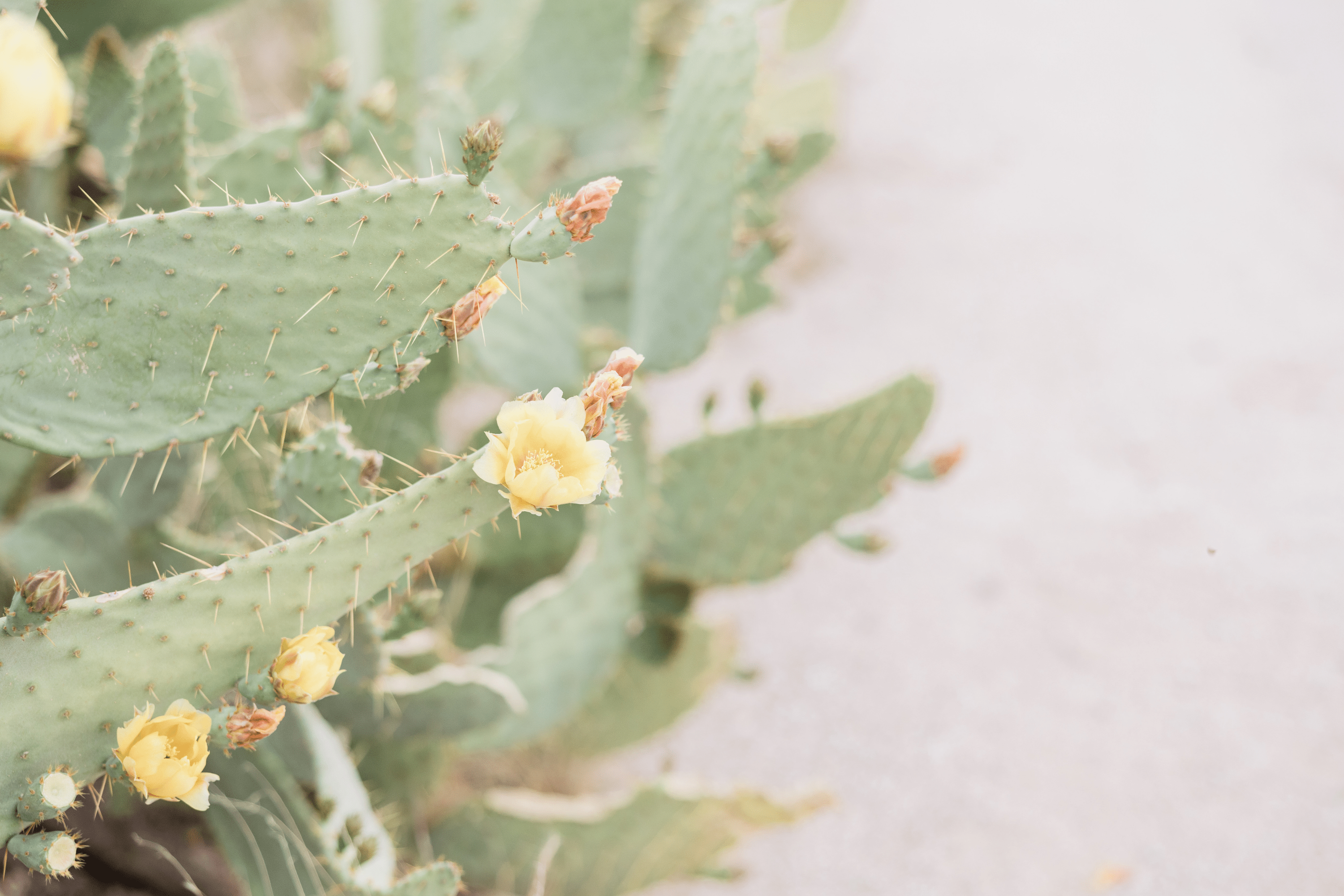 5.png__PID:ec9dd5b5-a713-405e-8e2e-6094b5006185