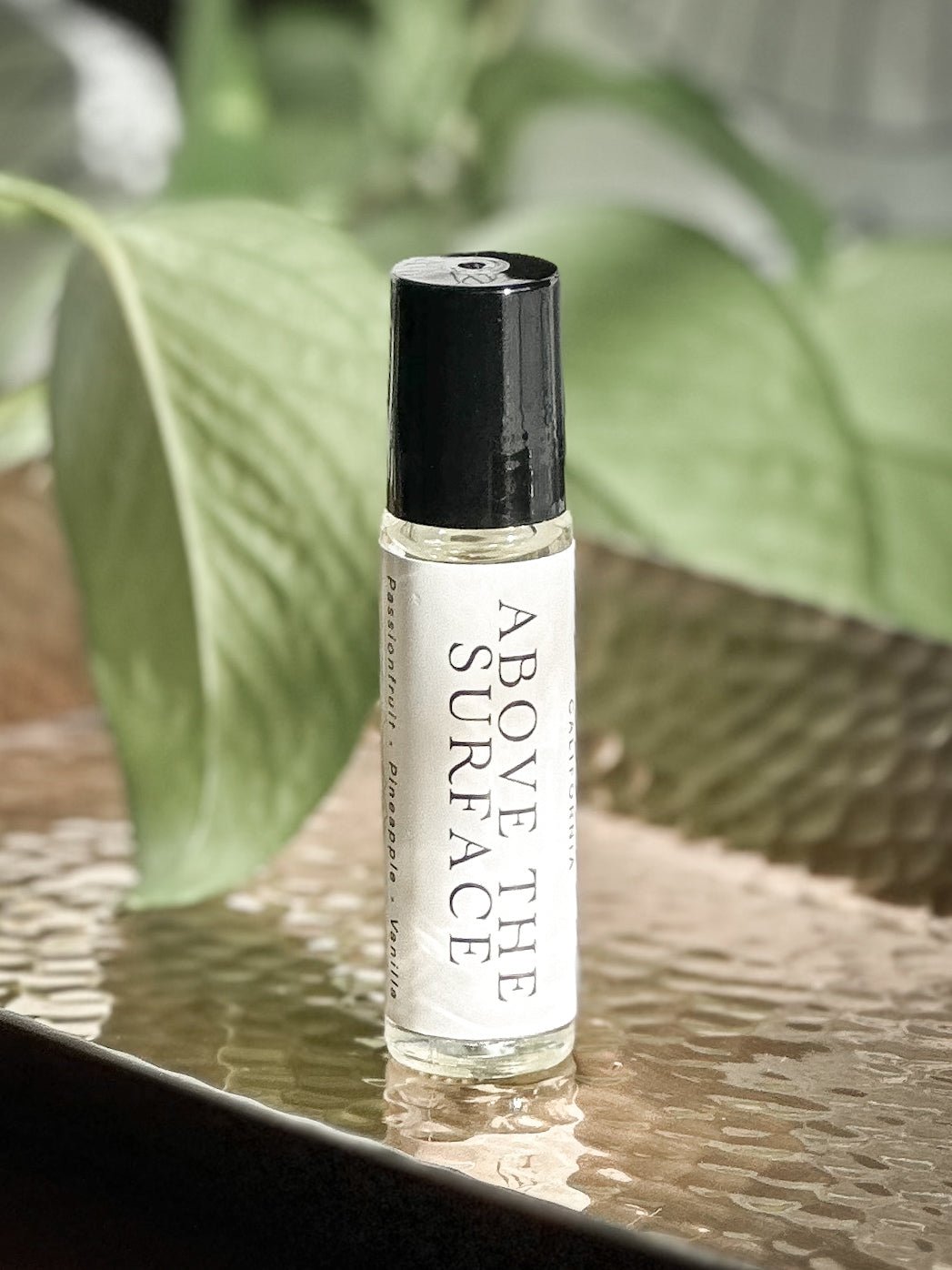 Above the Surface Perfume Oil - Starry Skies Austin