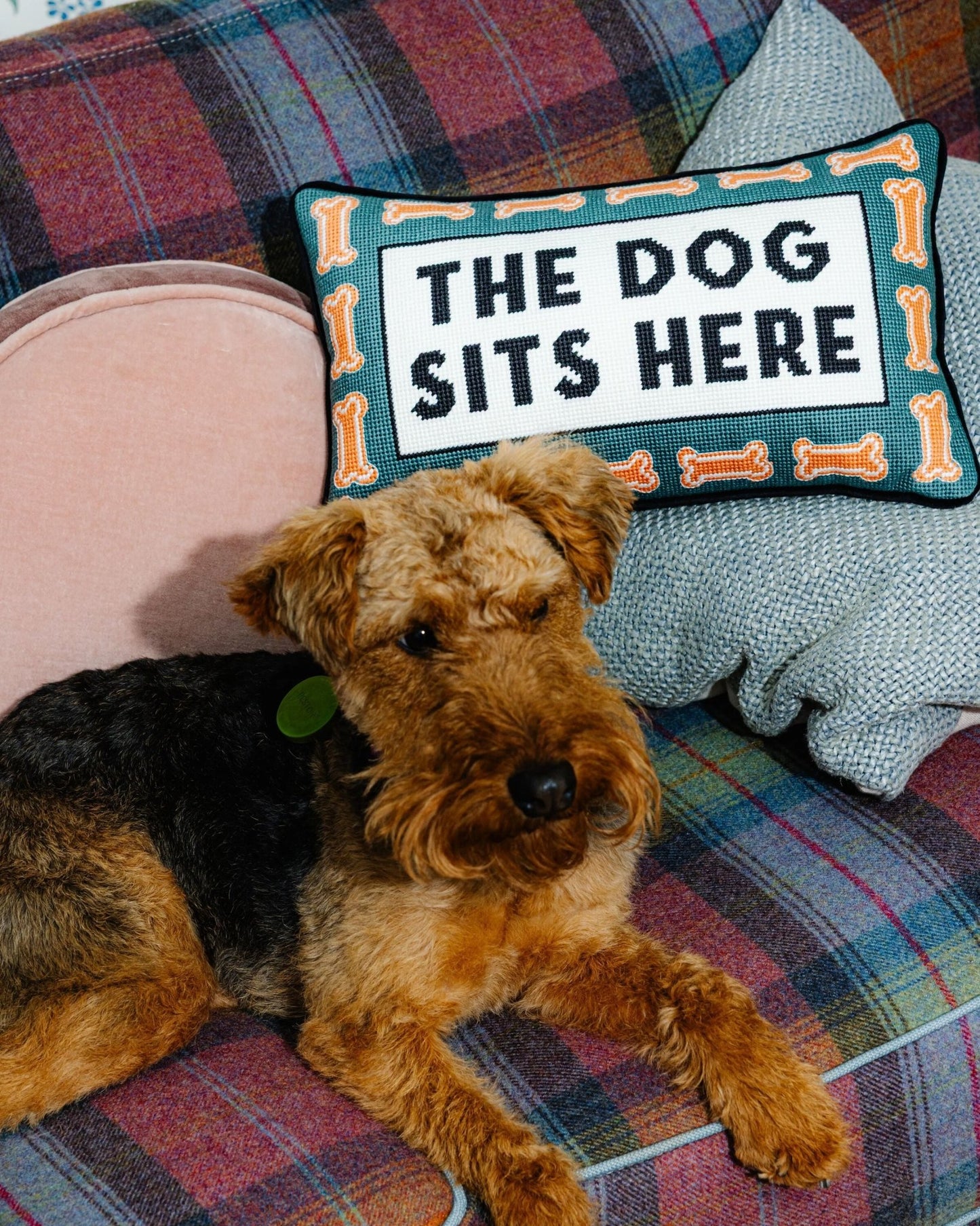 Dog Sits Here Needlepoint Pillow - Starry Skies Austin