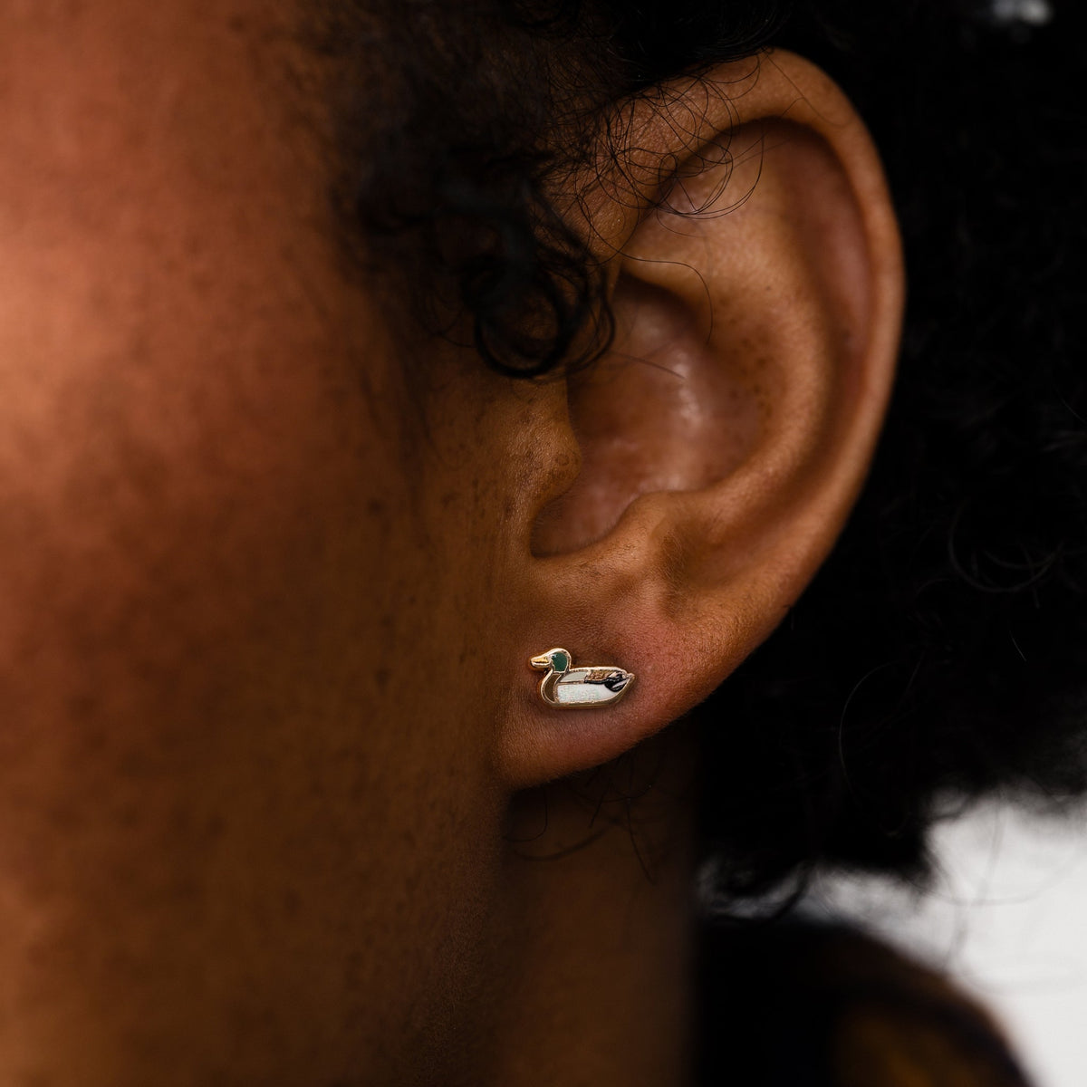 Duck Studs - Starry Skies Austin