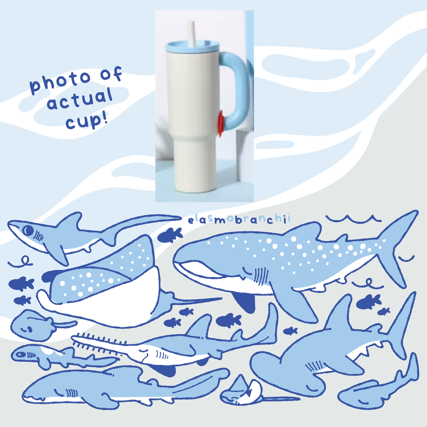 [PREORDER] Elasmobranch Water Bottle