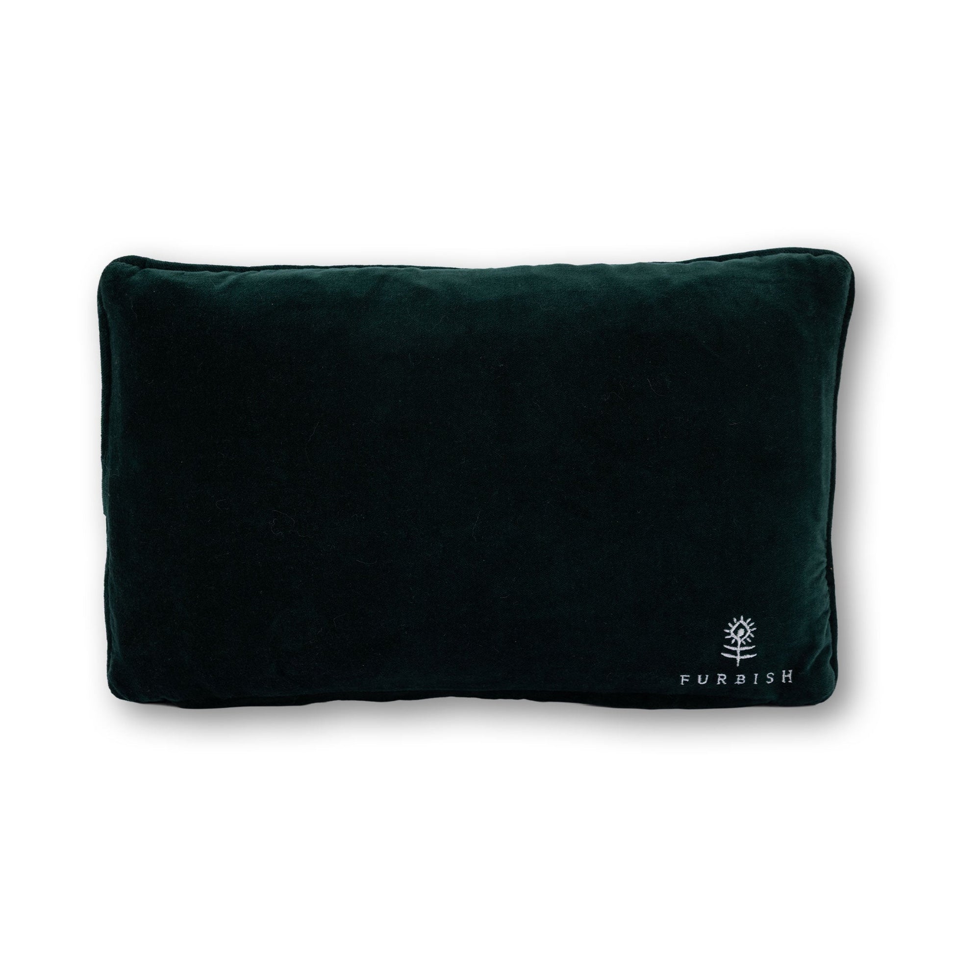 Emails Finding Me Needlepoint Pillow - Starry Skies Austin