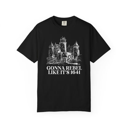 Gonna Rebel Like It's 1641 - Starry Skies Austin