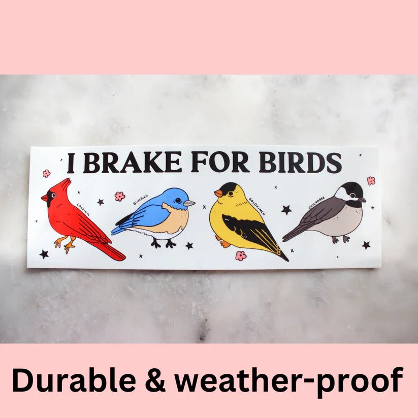 "I Brake For Birds" Bumper Sticker - Starry Skies Austin