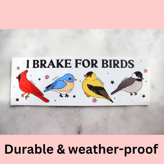 "I Brake For Birds" Bumper Sticker - Starry Skies Austin