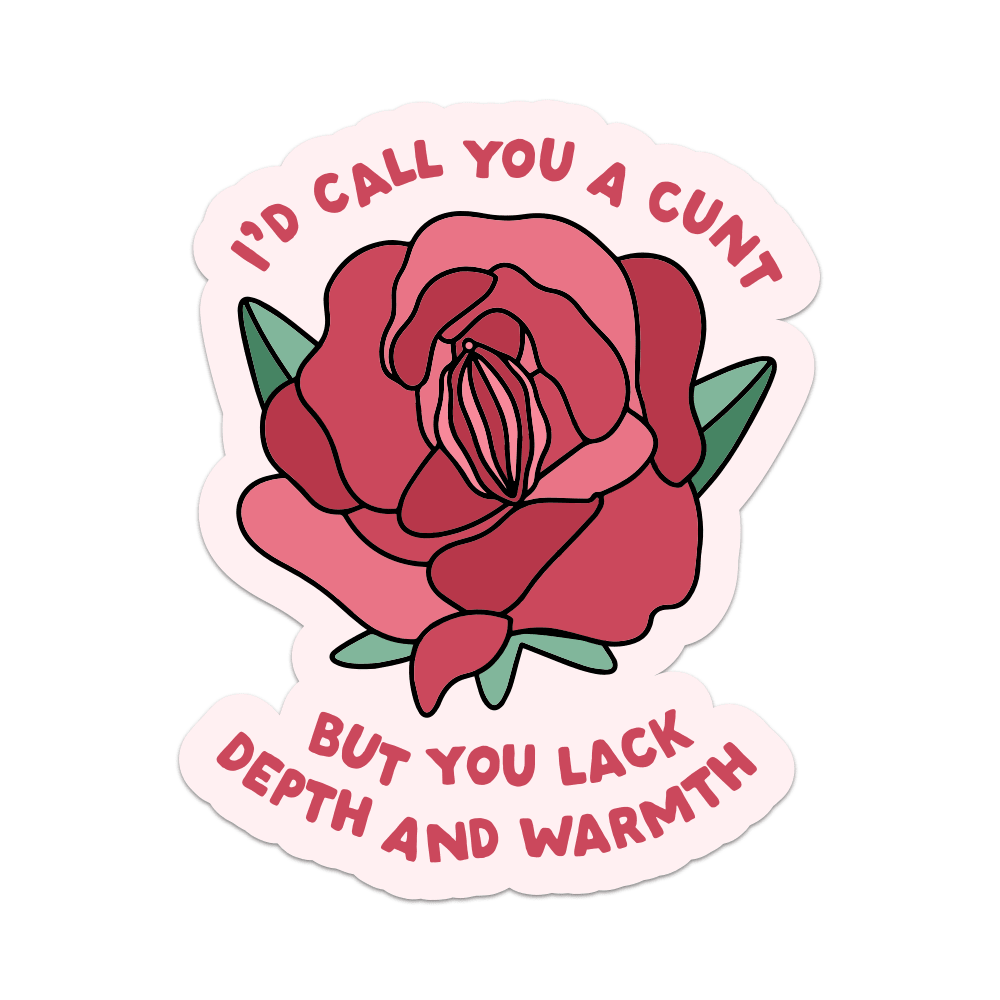 I'd Call You a Cunt But You Lack Depth And Warmth Vinyl Sticker - Starry Skies Austin