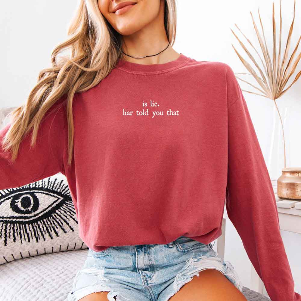 Is Lie, Liar Told You That Comfort Colors Long Sleeve – Hockey Romance BookTok Shirt - Starry Skies Austin