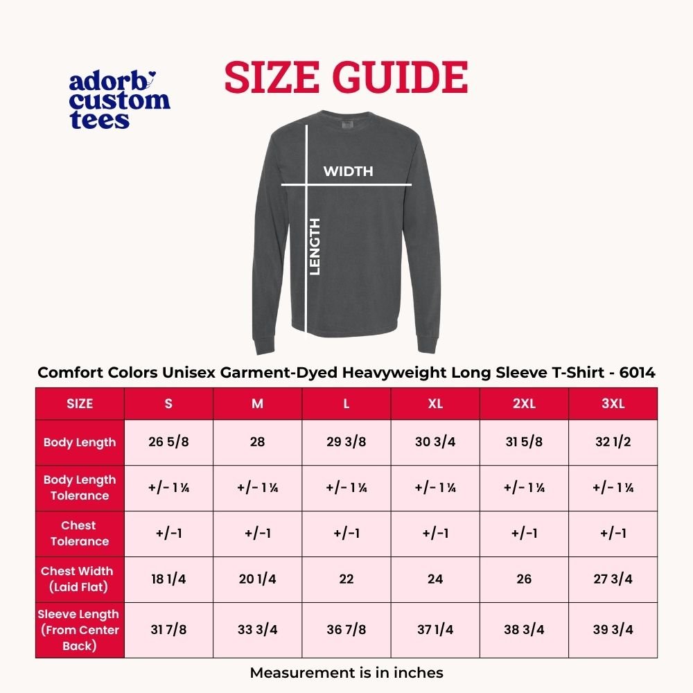 Is Lie, Liar Told You That Comfort Colors Long Sleeve – Hockey Romance BookTok Shirt - Starry Skies Austin