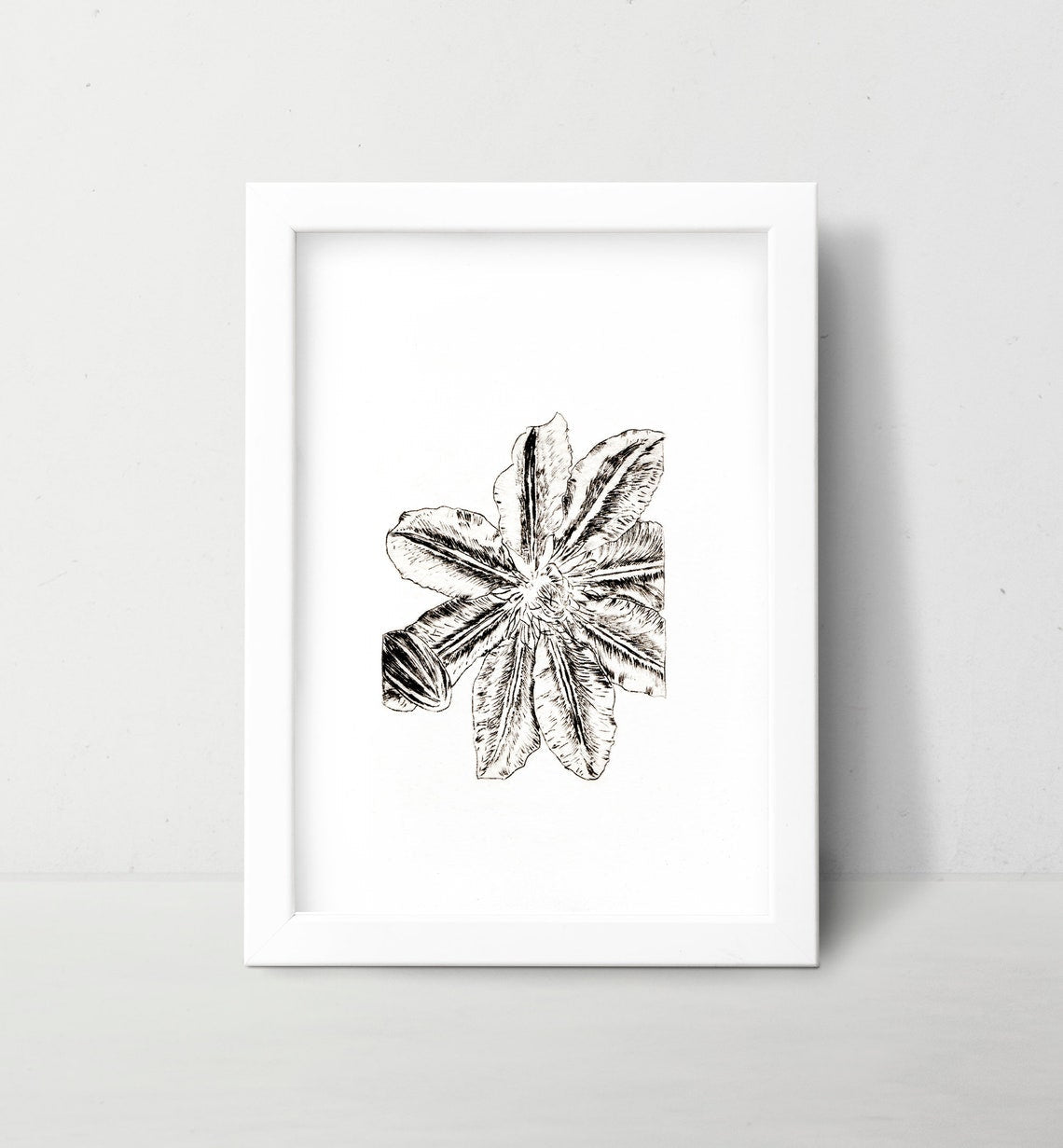 Lily Wall Art Print Black and White Botanical Medieval Art - Starry Skies Austin