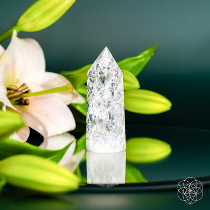 Limitless Manifestation - Ice Quartz Point - Starry Skies Austin