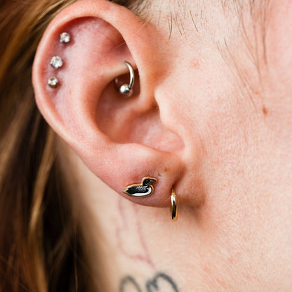 Loon Studs - Starry Skies Austin