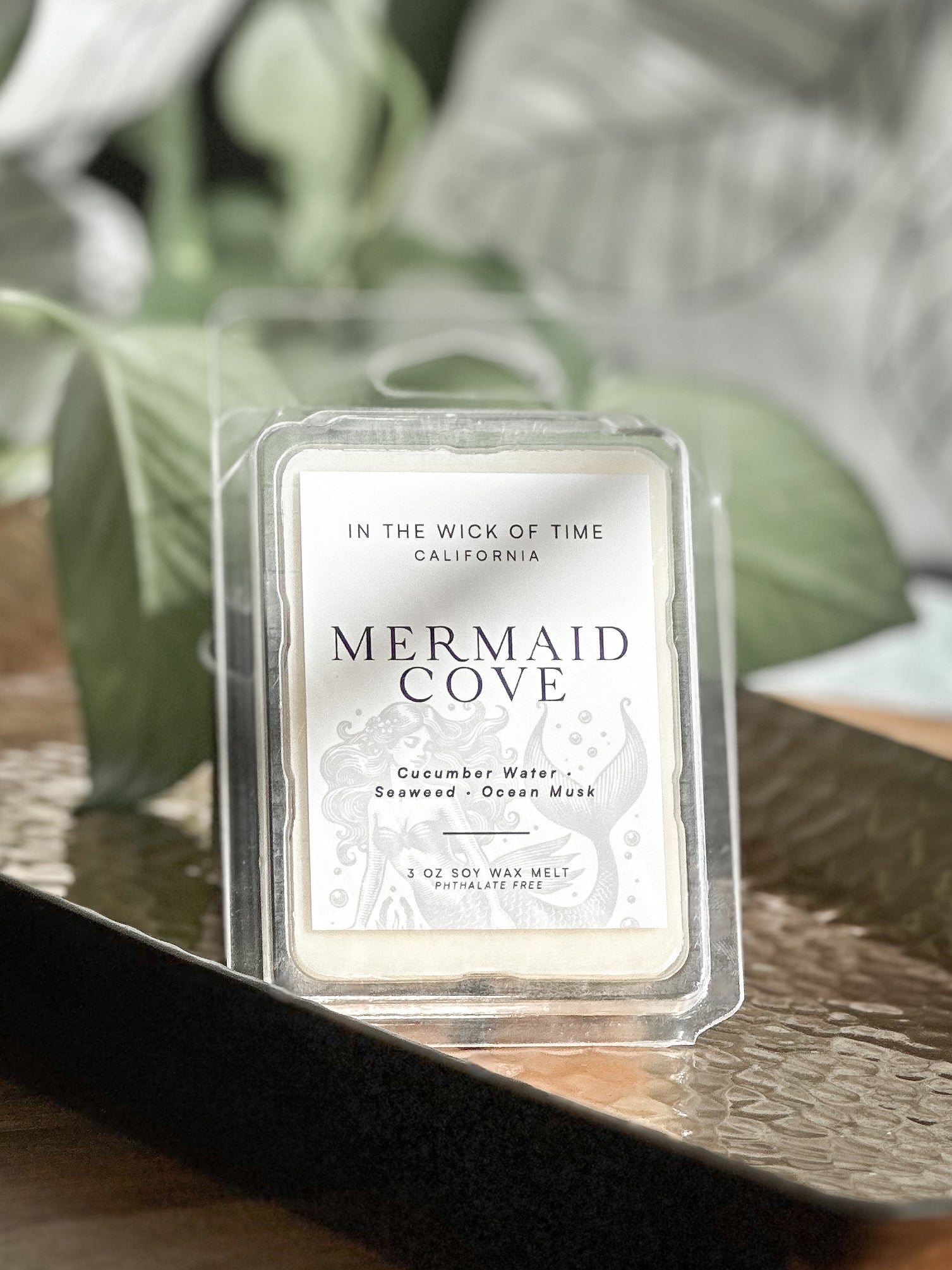 Mermaid Cove Wax Melt - Starry Skies Austin