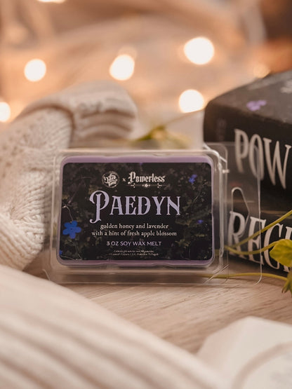 Paedyn Wax Melt - Starry Skies Austin