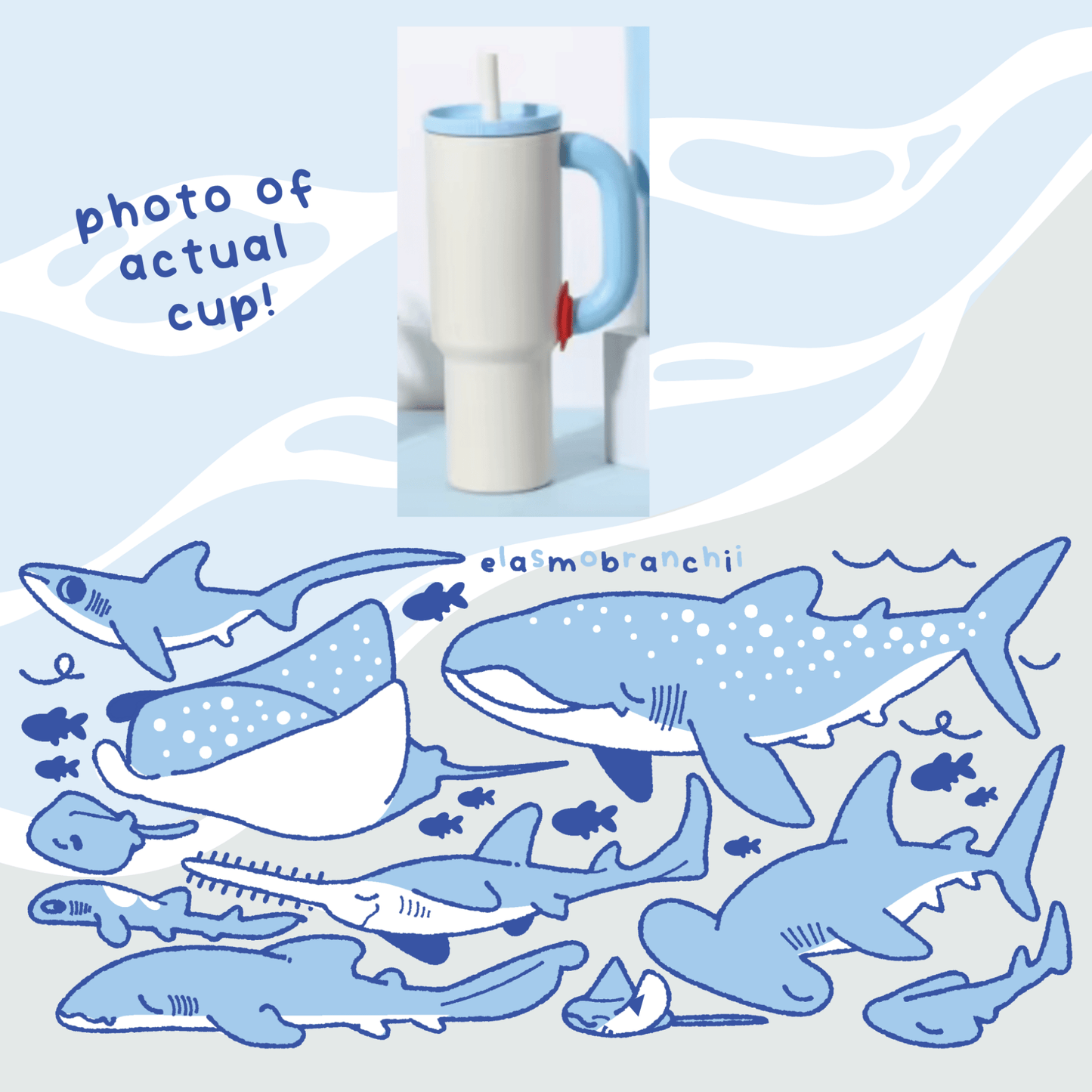 [PREORDER] Elasmobranch Water Bottle - Starry Skies Austin