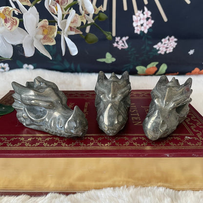 Pyrite Dragon Head - Starry Skies Austin