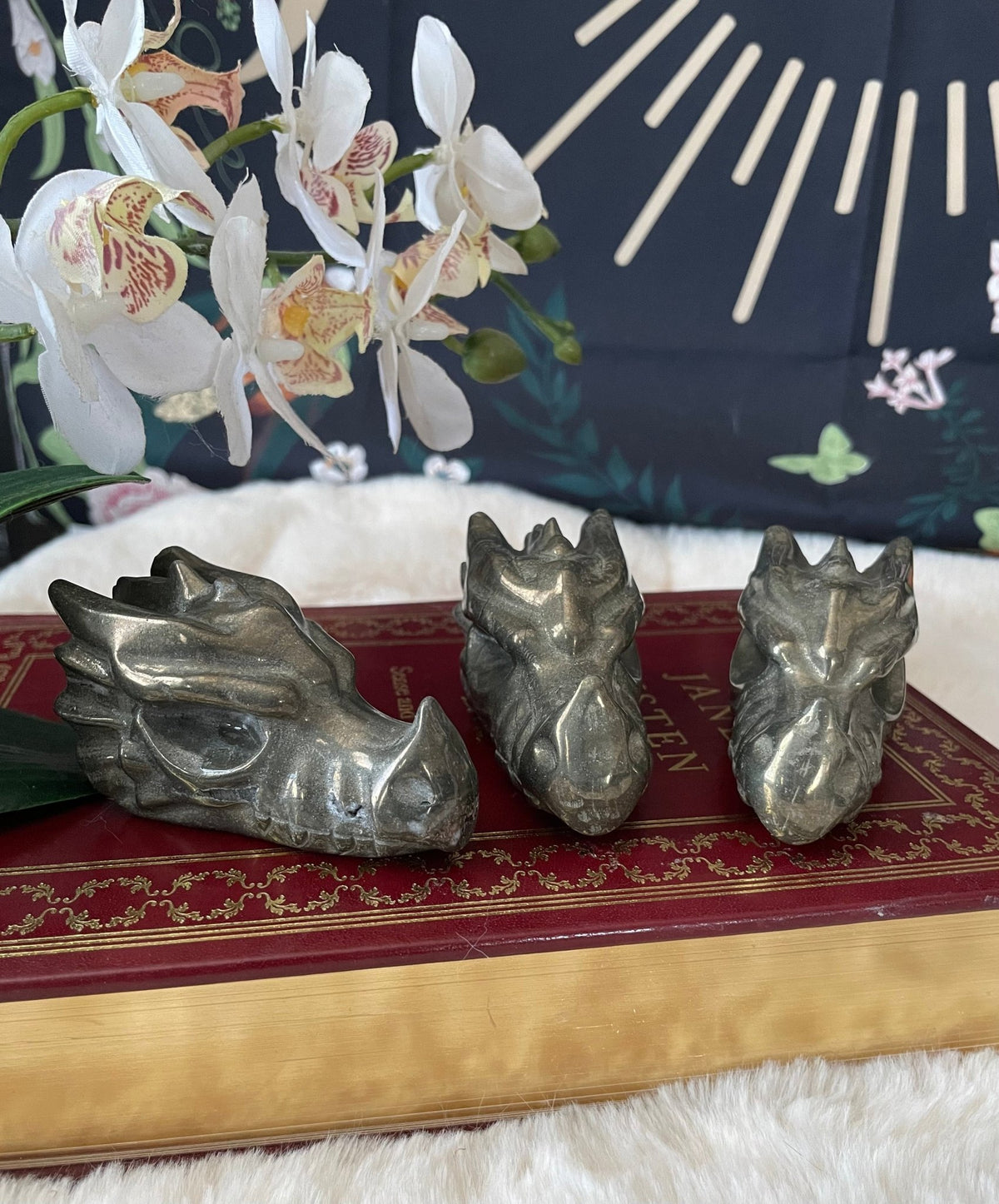 Pyrite Dragon Head - Starry Skies Austin