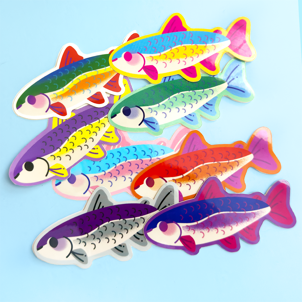 Rainbow Trout Pride Stickers - Starry Skies Austin