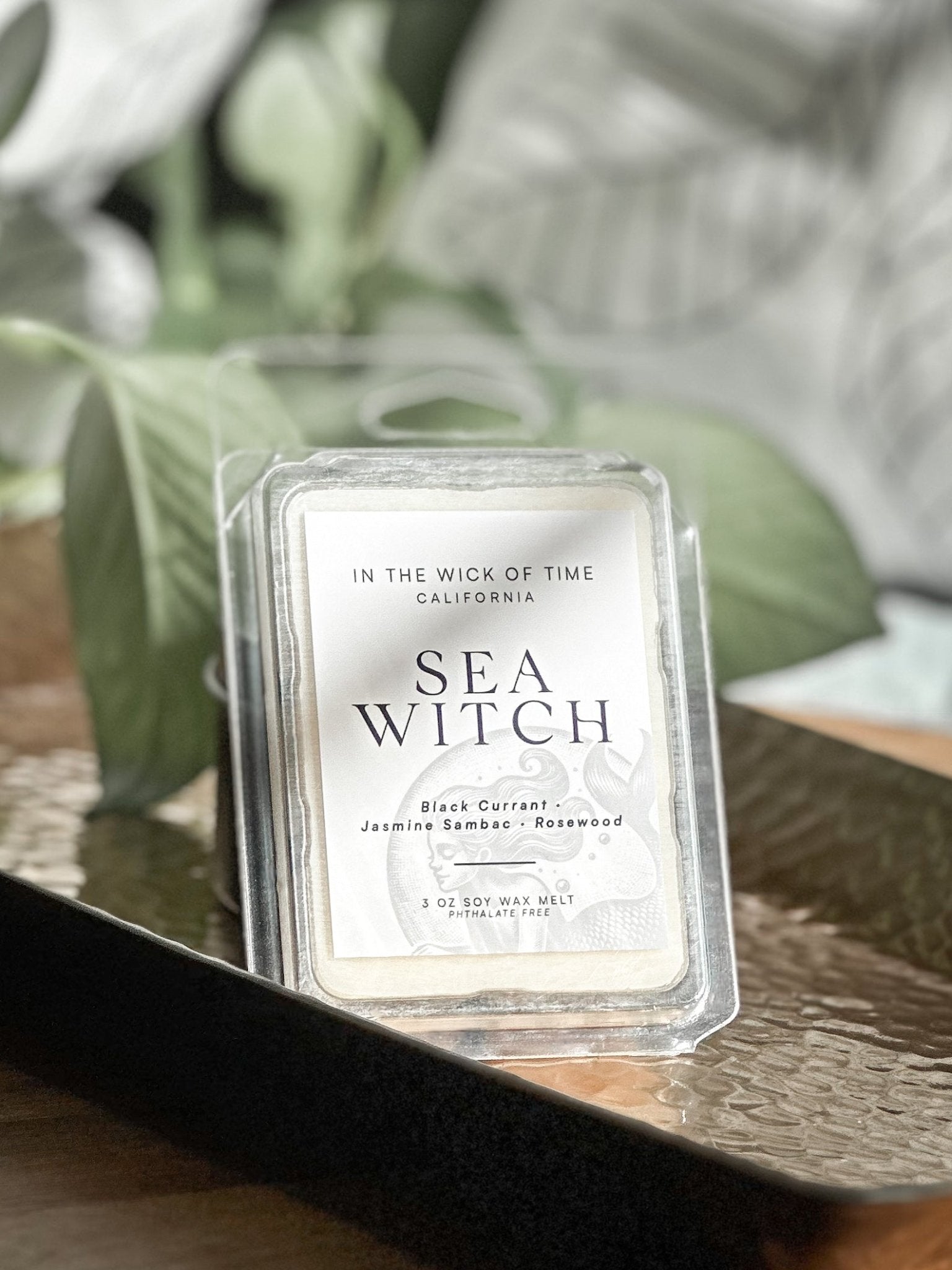 Sea Witch Wax Melt - Starry Skies Austin