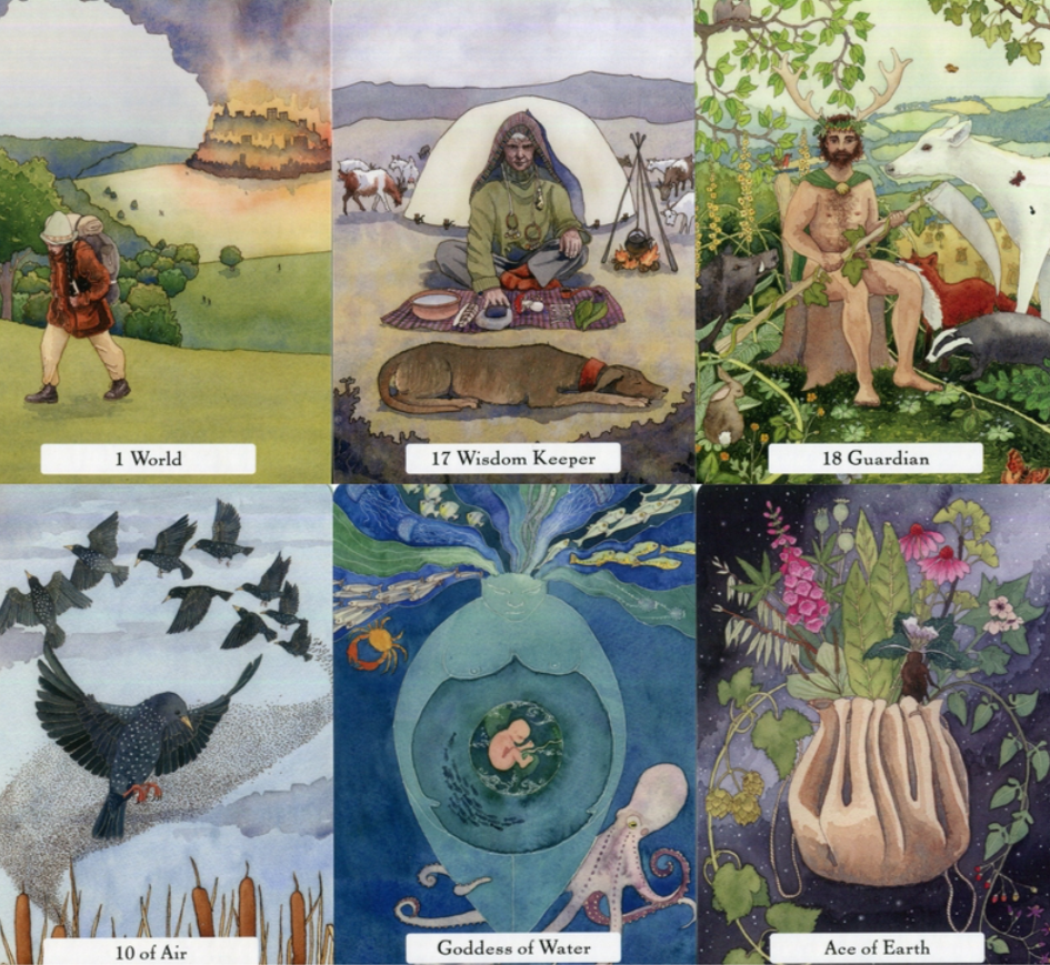 The Witches’ Wisdom Tarot Deck - Starry Skies Austin