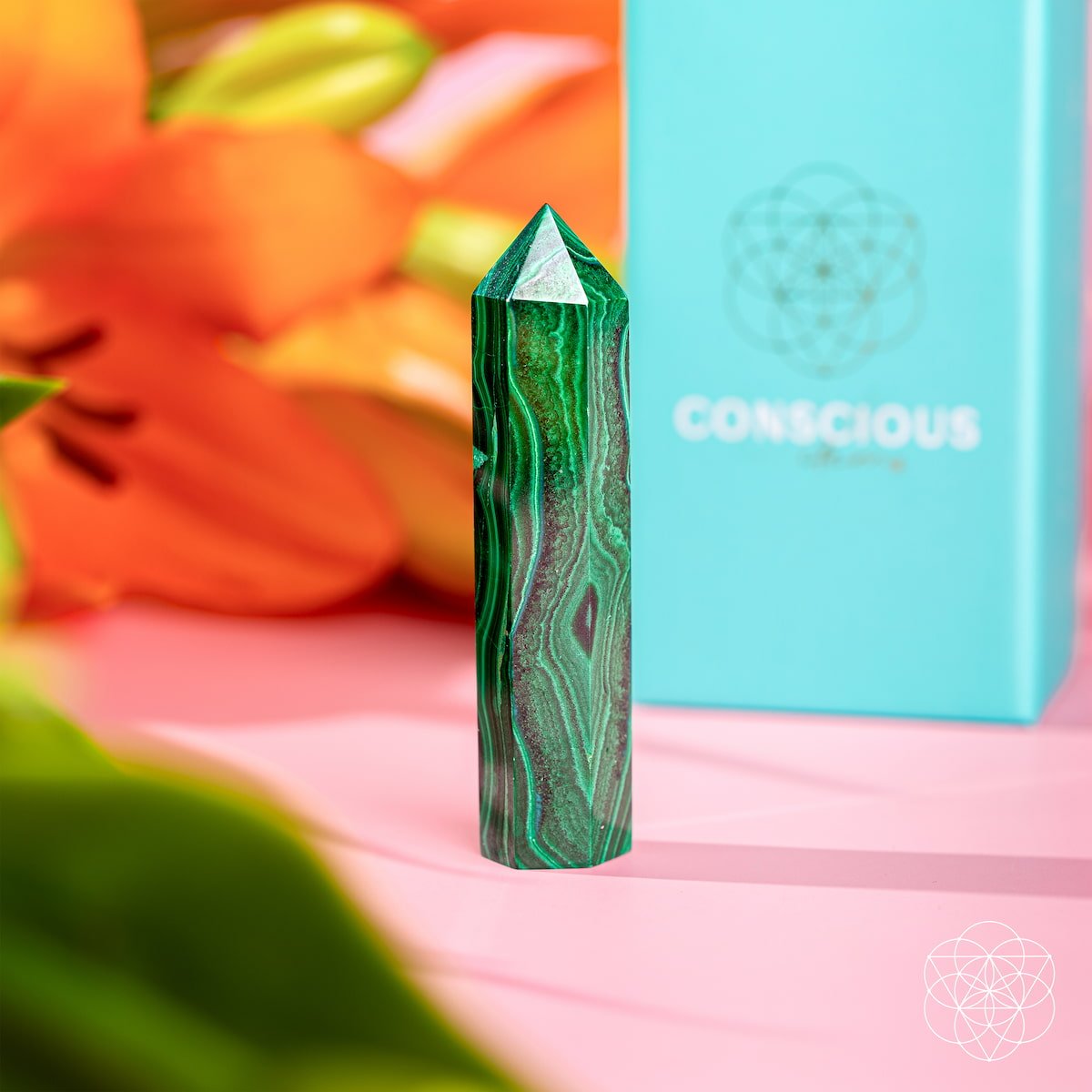 This Changes Everything – Malachite Phoenix Point - Starry Skies Austin