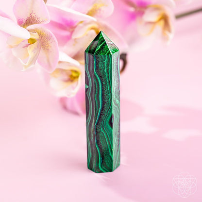 This Changes Everything – Malachite Phoenix Point - Starry Skies Austin