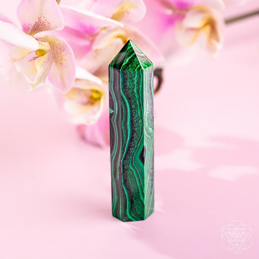 This Changes Everything – Malachite Phoenix Point - Starry Skies Austin