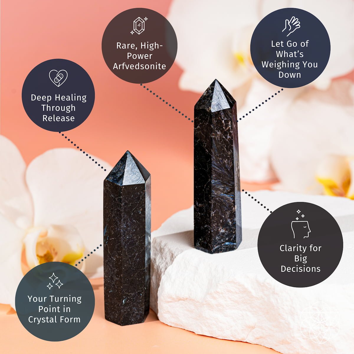 This Is Your Breakthrough – Rare Arfvedsonite Point - Starry Skies Austin