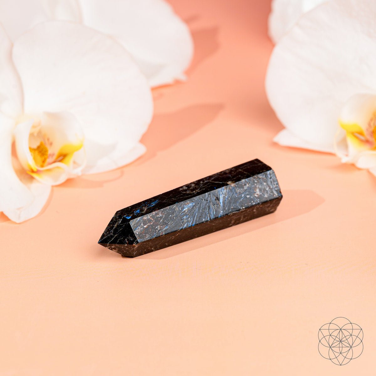 This Is Your Breakthrough – Rare Arfvedsonite Point - Starry Skies Austin