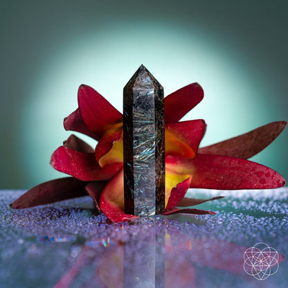 This Is Your Breakthrough – Rare Arfvedsonite Point - Starry Skies Austin